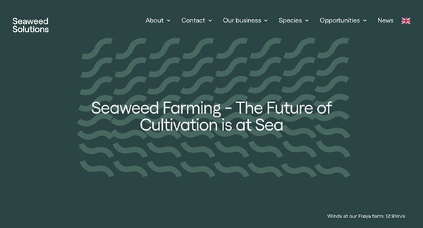 Seaweed Solutions